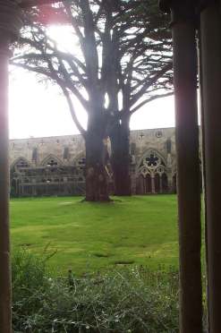 3x4 trees in salisbury cathedral cloisters.jpg (14776 bytes)