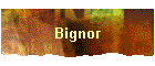 Bignor