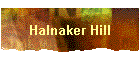 Halnaker Hill