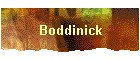 Boddinick
