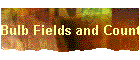 Bulb Fields and Countryside