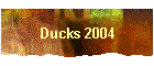 Ducks 2004