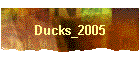 Ducks_2005