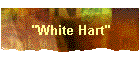 "White Hart"