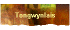 Tongwynlais
